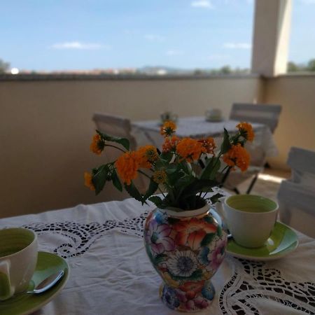 La Casa Dei Fenicotteri Bed and Breakfast Olbia Exteriör bild